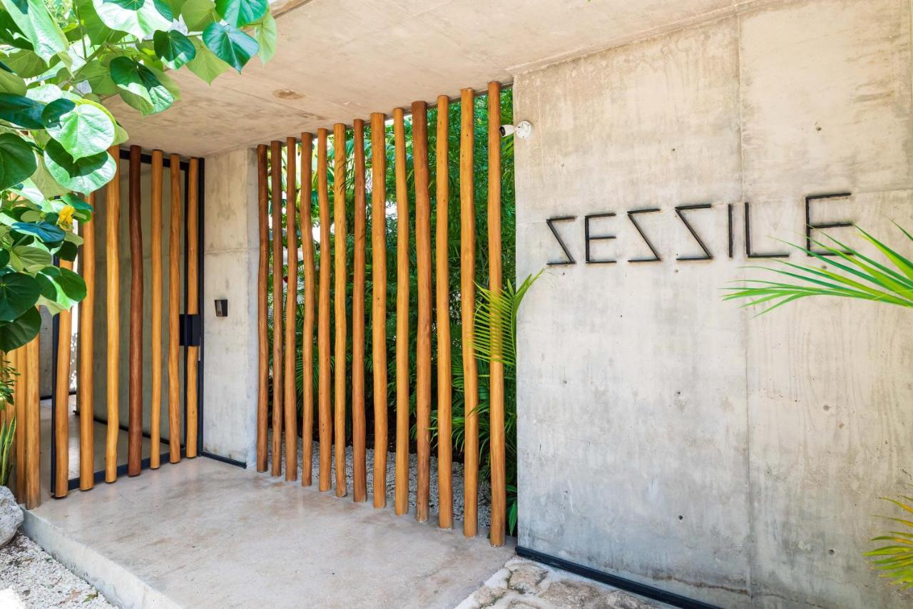 Luxury Apartament With Private Plunge Pool - Ground Floor トゥルム エクステリア 写真