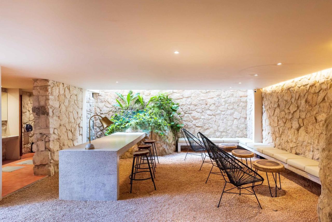 Luxury Apartament With Private Plunge Pool - Ground Floor トゥルム エクステリア 写真