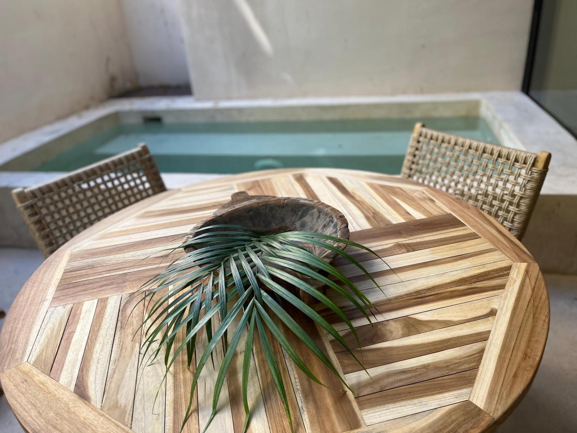 Luxury Apartament With Private Plunge Pool - Ground Floor トゥルム エクステリア 写真